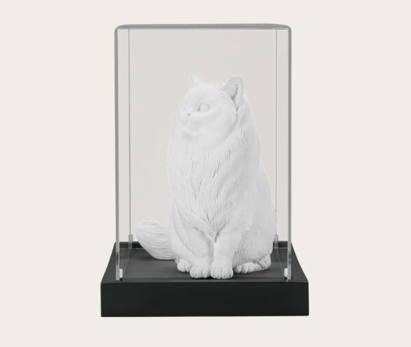 pet urn Ragdoll cat