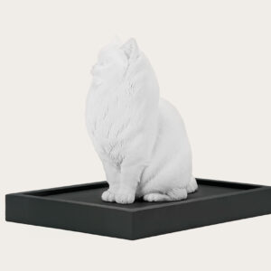 pet urn Ragdoll cat