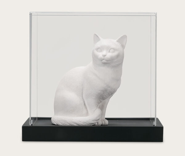 Pet Urn for Cats Domestic Shorthair Ca