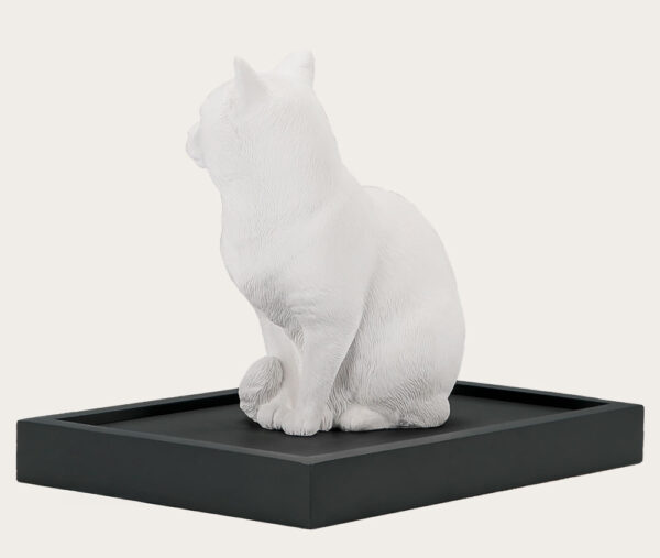 Pet Urn for Cats Domestic Shorthair Ca