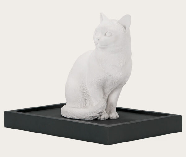 Pet Urn for Cats Domestic Shorthair Ca