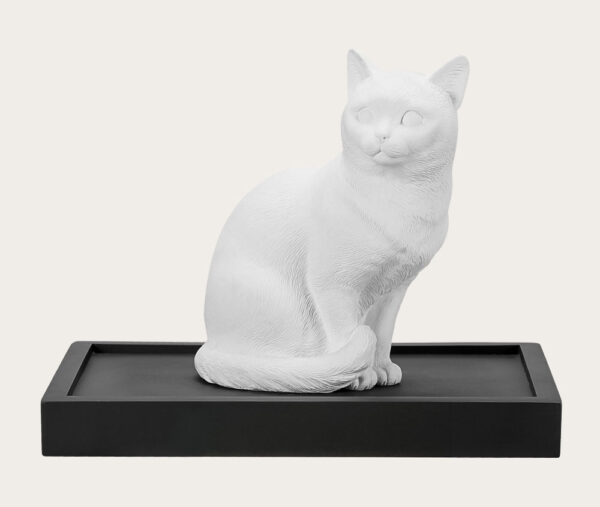 Pet Urn for Cats Domestic Shorthair Ca