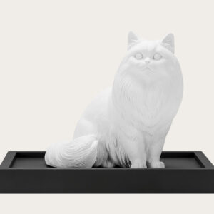 Pet Urn for Cats Chinchilla Cat