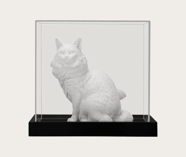 Pet Urn for Cats Norwegian Forest Cat