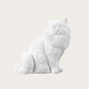 pet urn engraving ideas Exotic longhair cat