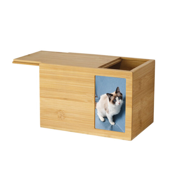 Cat Urn With Photo