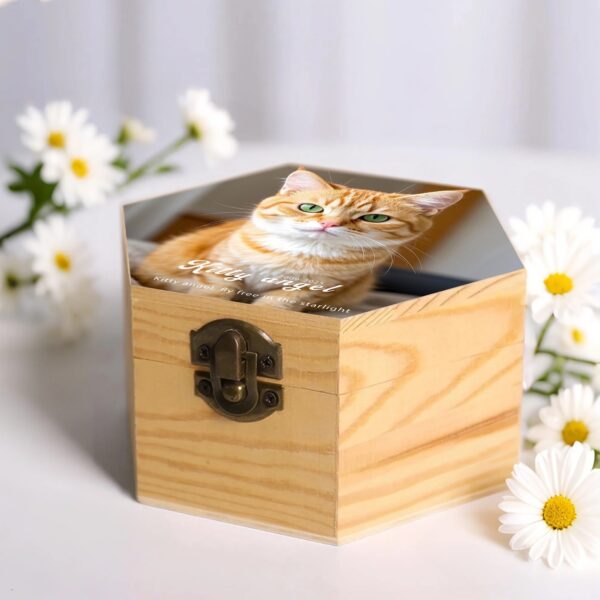 Urns For Cat Ashes With Picture