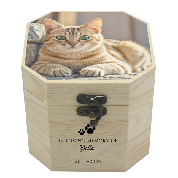 Urns For Cat Wooden Ashes With Picture