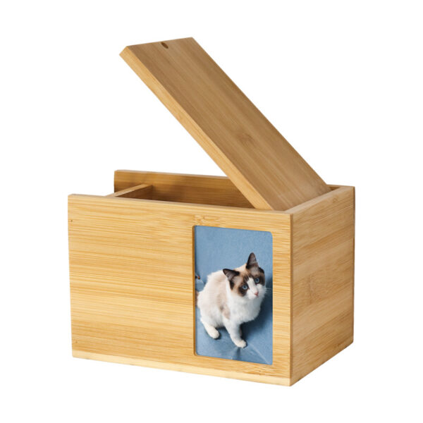 Environmentally Friendly Cat Urn