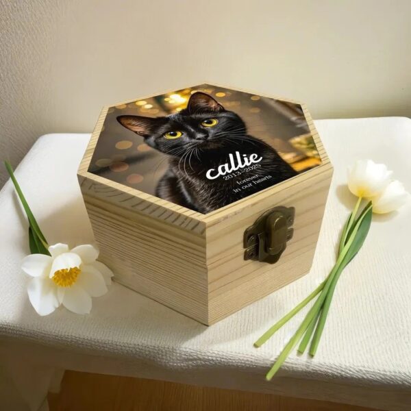 Urns For Cat Wooden Ashes With Picture