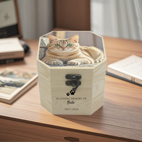 Urns For Cat Ashes With Picture