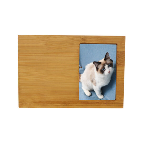 Environmentally Friendly Cat Urn